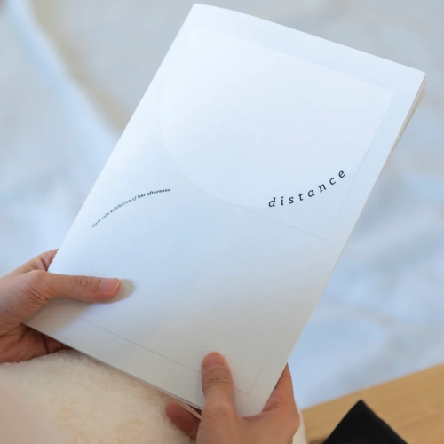 Artbook of "Distance"